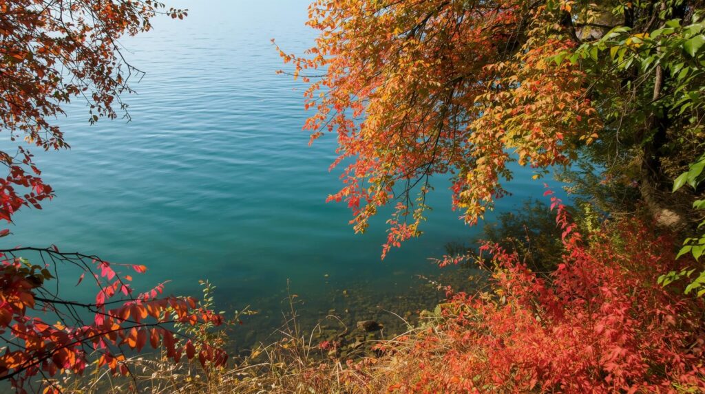 Őszi kerti munka a Balaton partján: vörös és narancs falevelek a tó vizénél.
